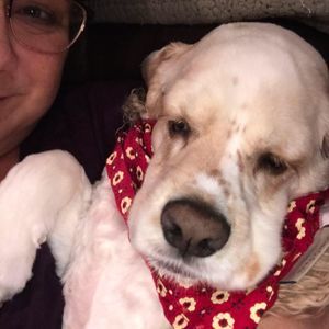 Meet your Posher, Jenny